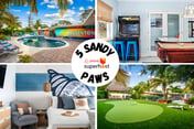 5 Sandy Paws Paradise